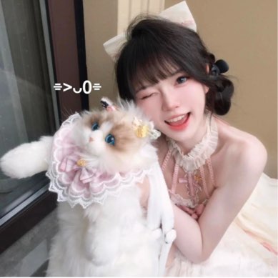 兮兮༥-电竞师