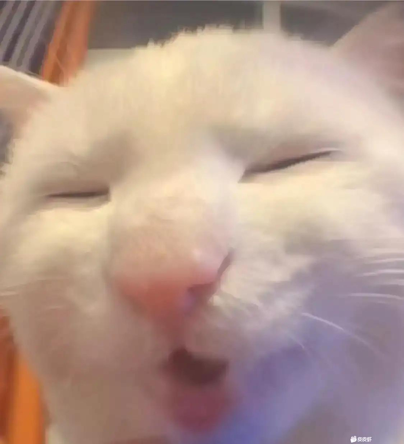 陪玩妹子三知的照片1