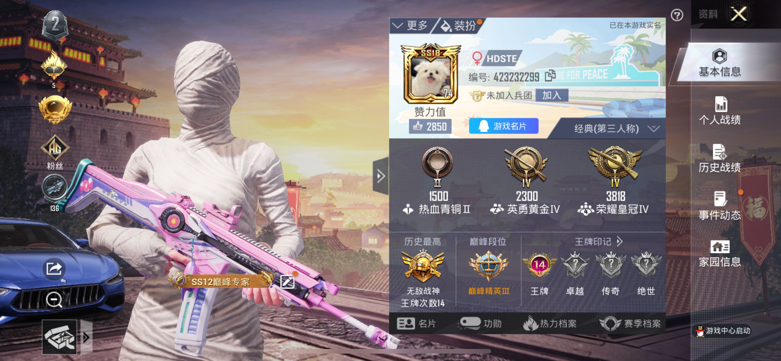 和平精英陪玩服务