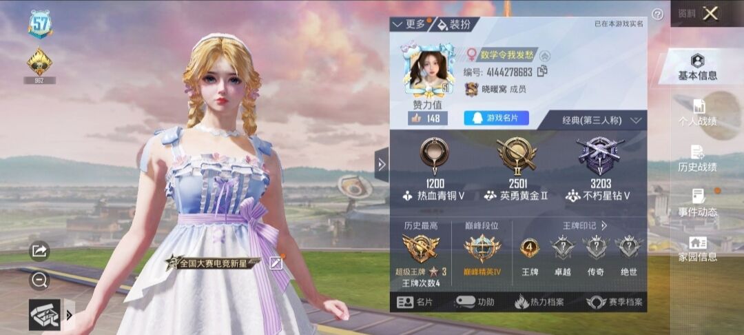 和平精英陪玩服务