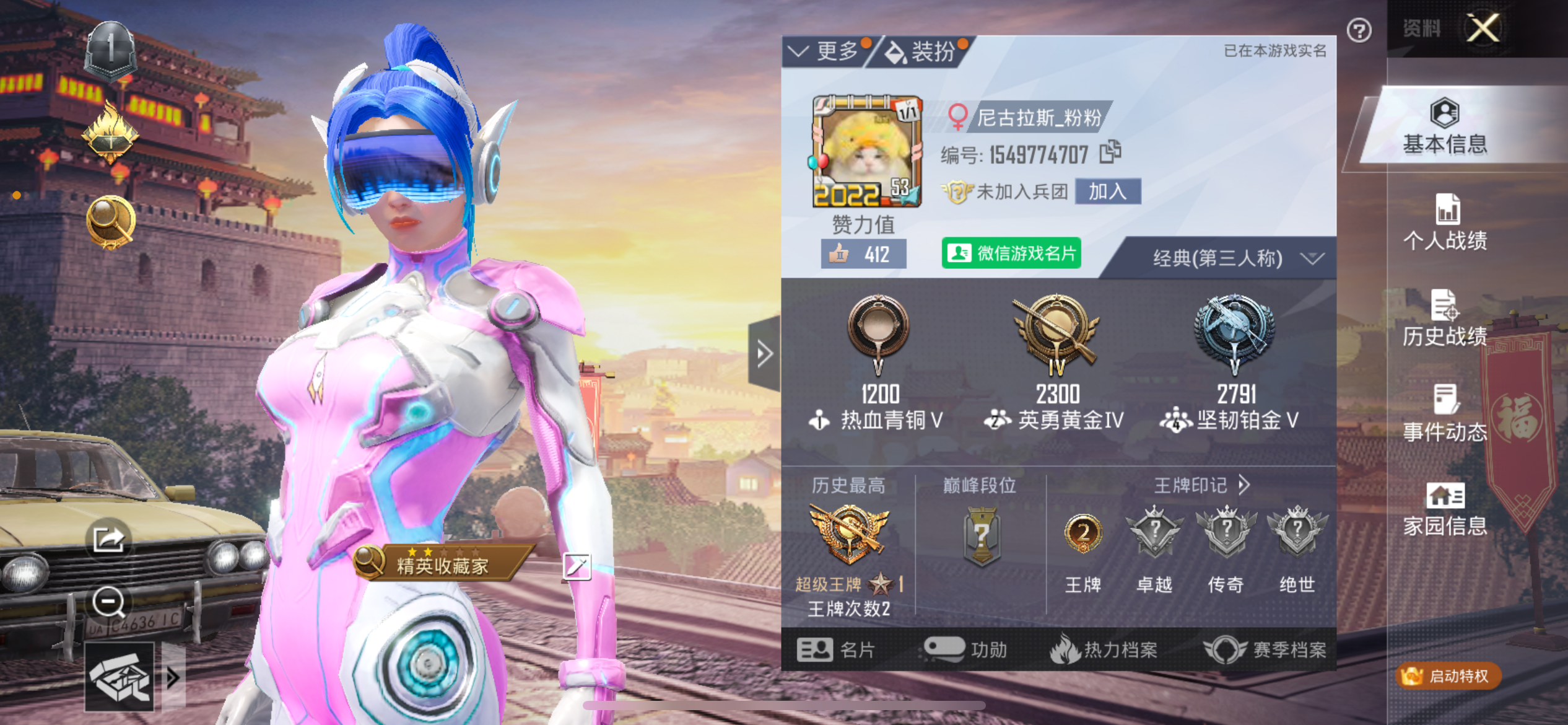 和平精英陪玩服务