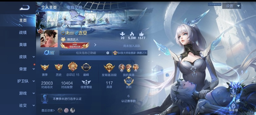 王者荣耀陪玩服务