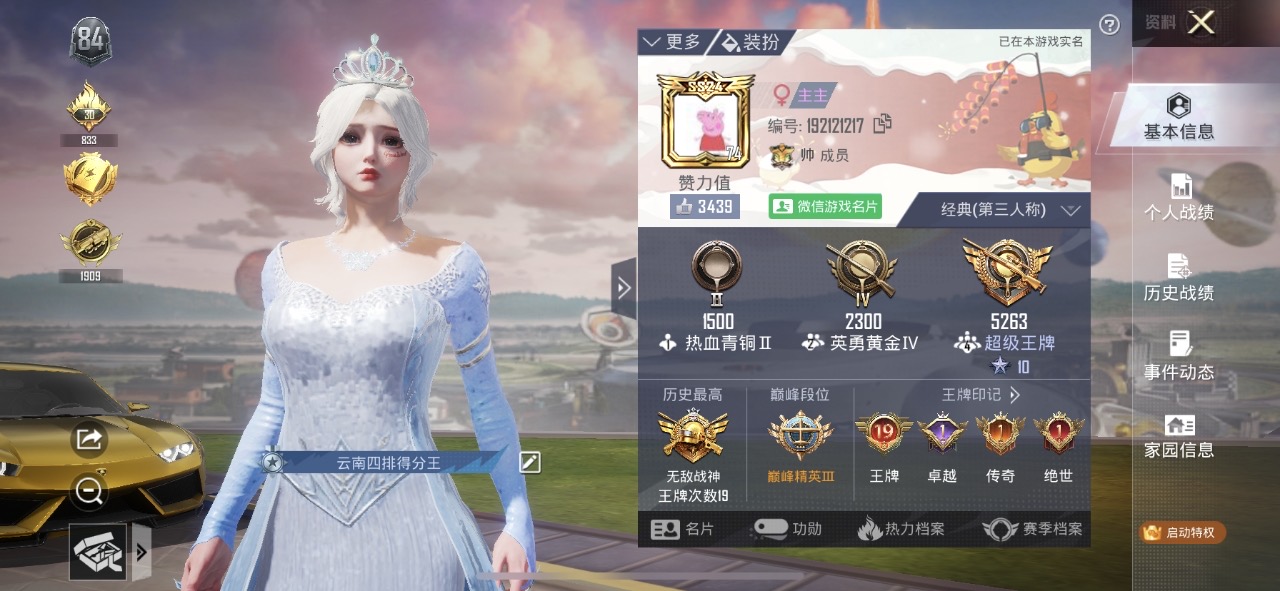 和平精英陪玩服务