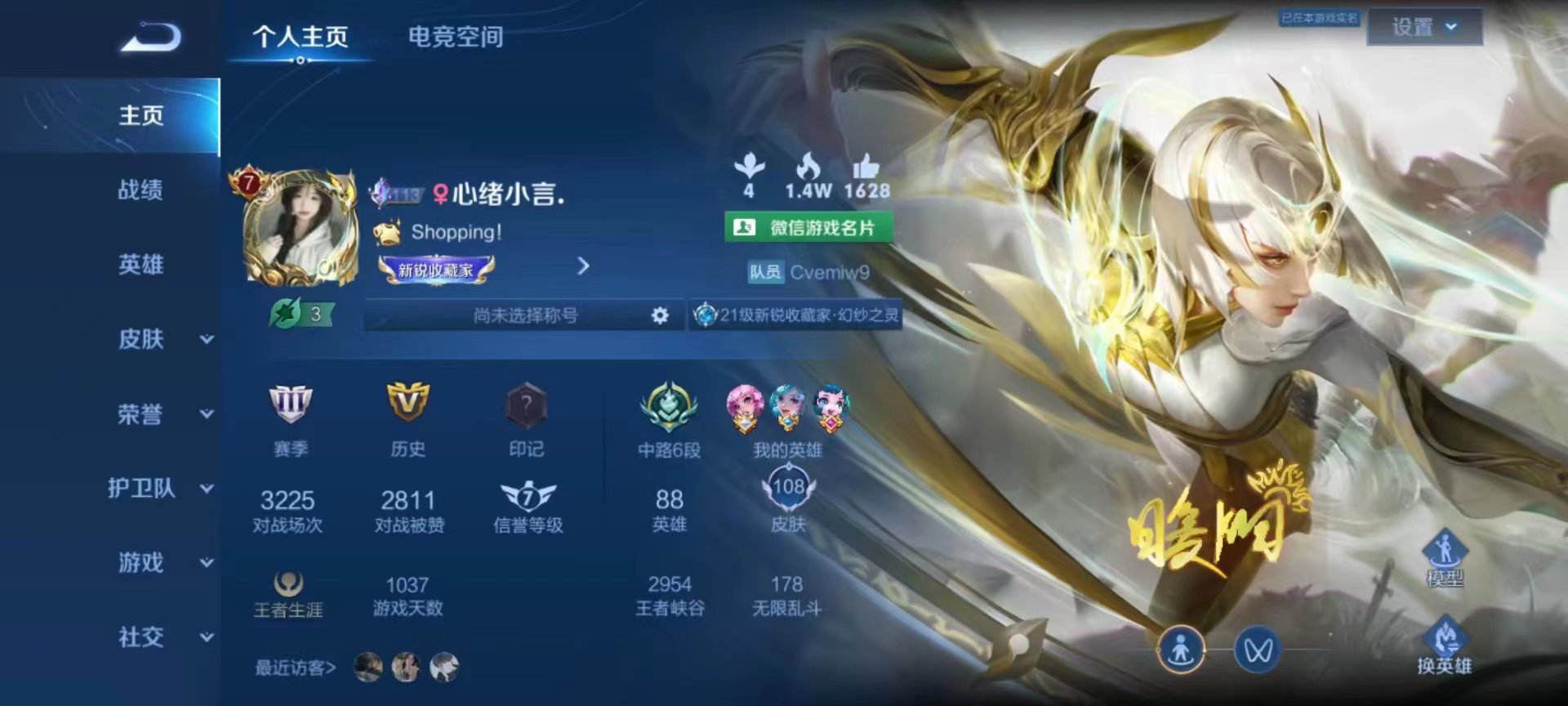 王者荣耀陪玩服务