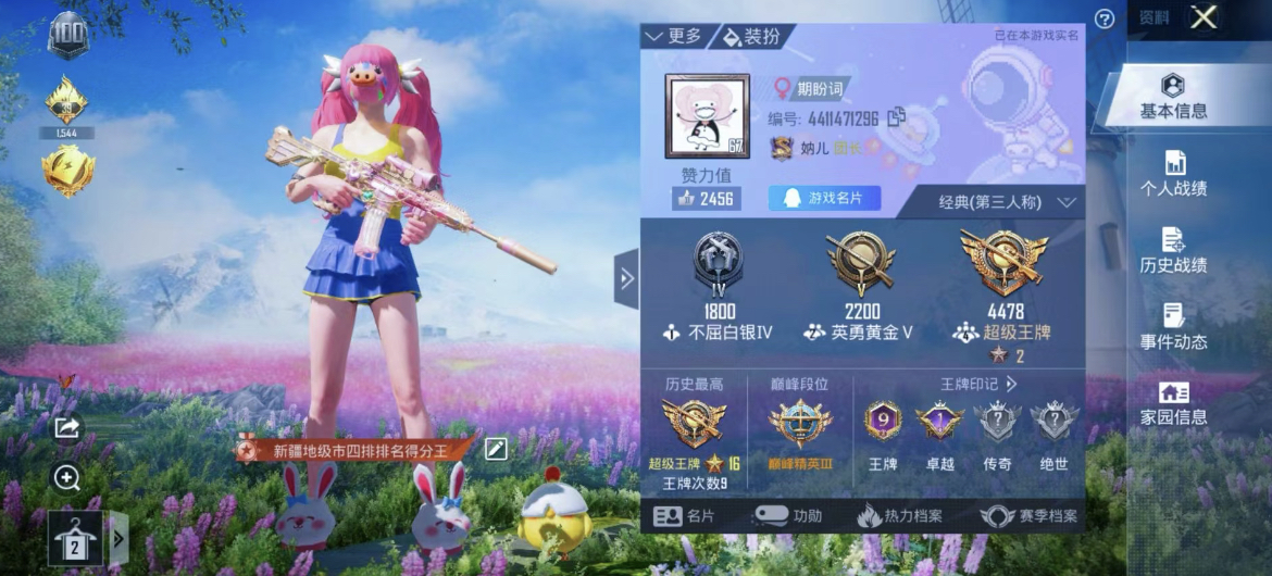 和平精英陪玩服务