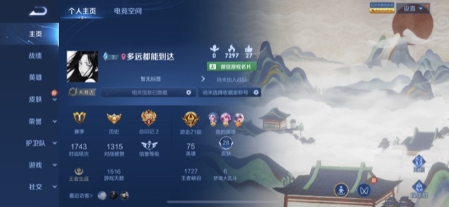 王者荣耀陪玩服务