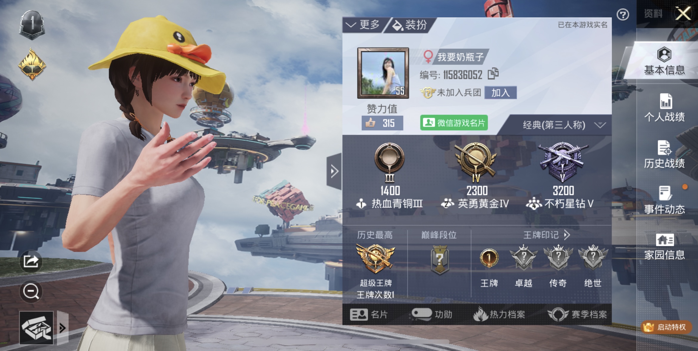 和平精英陪玩服务