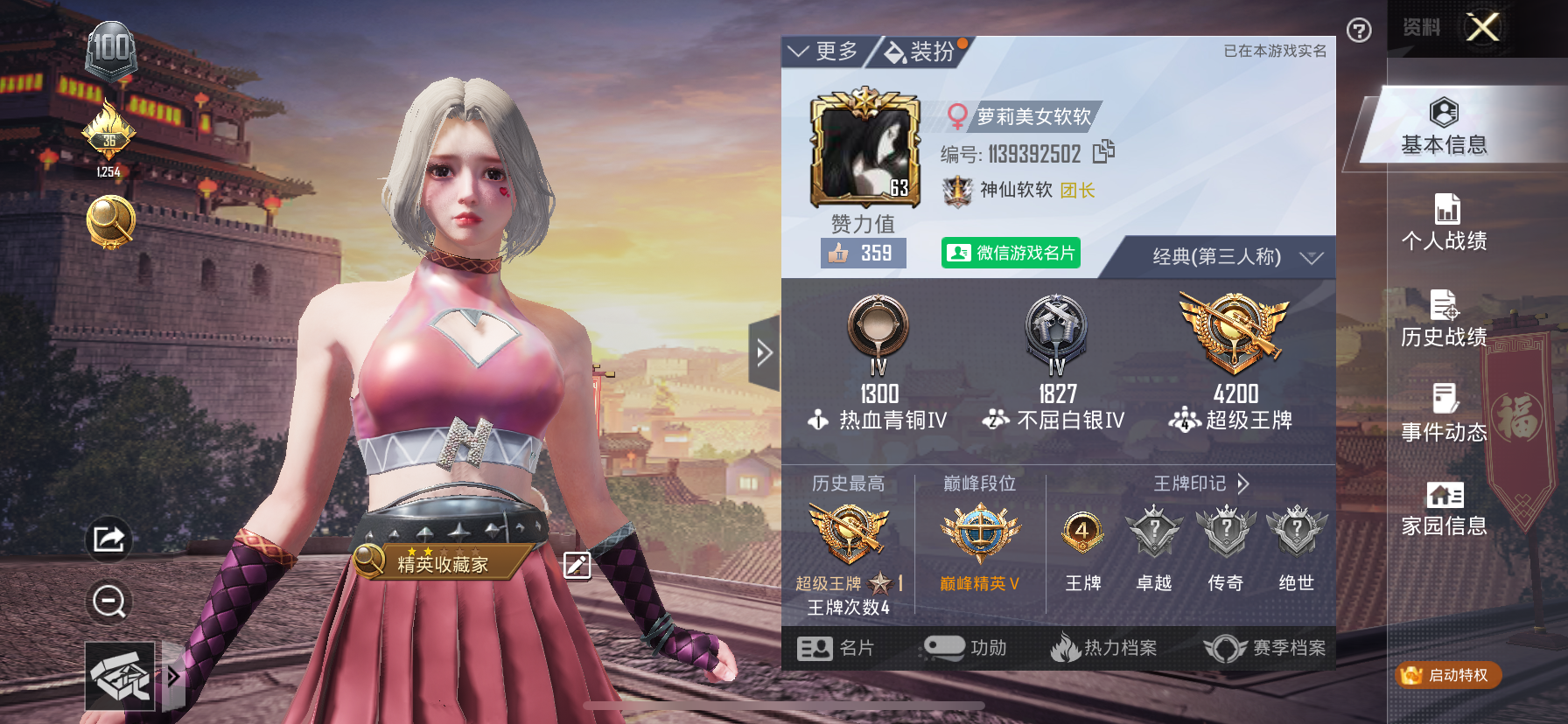 和平精英陪玩服务