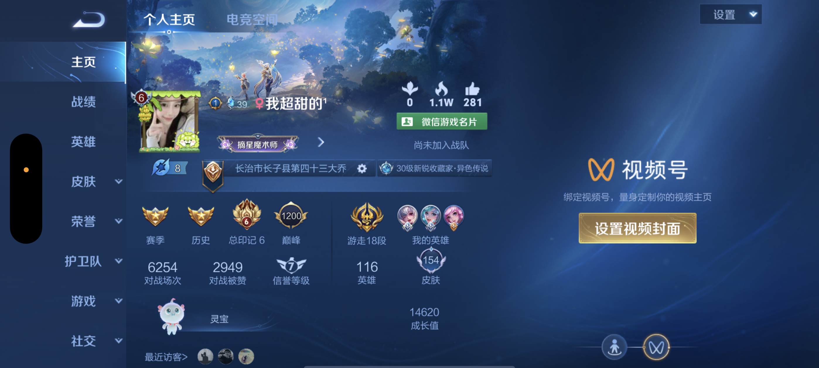 王者荣耀陪玩服务