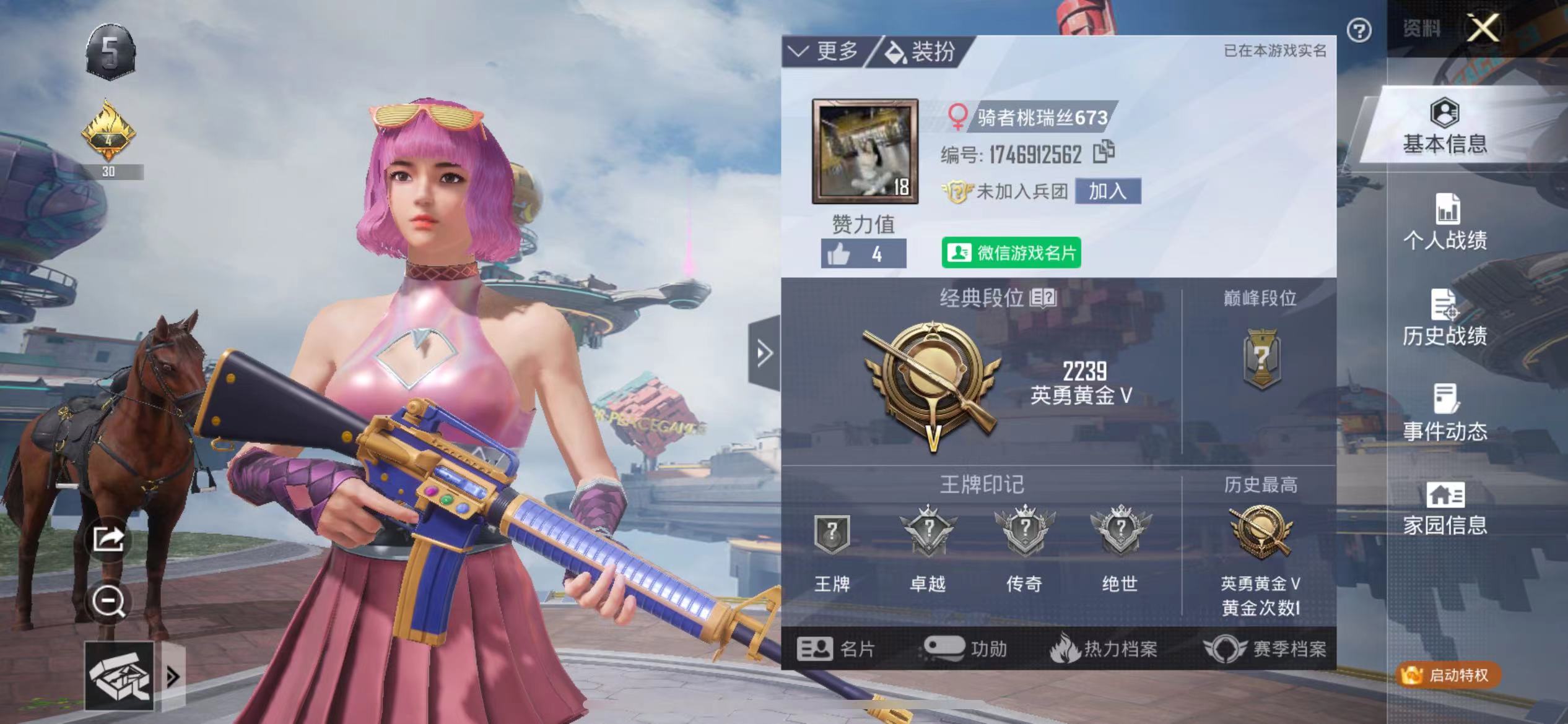 和平精英陪玩服务