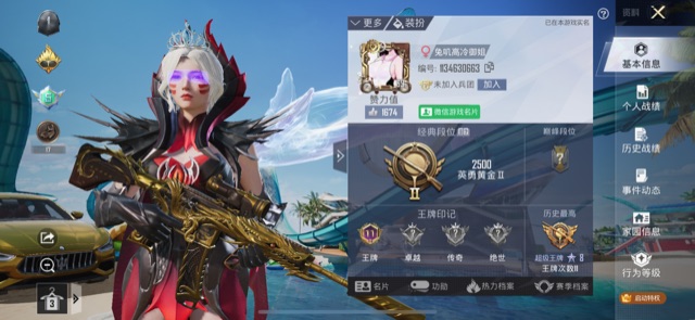 和平精英陪玩服务