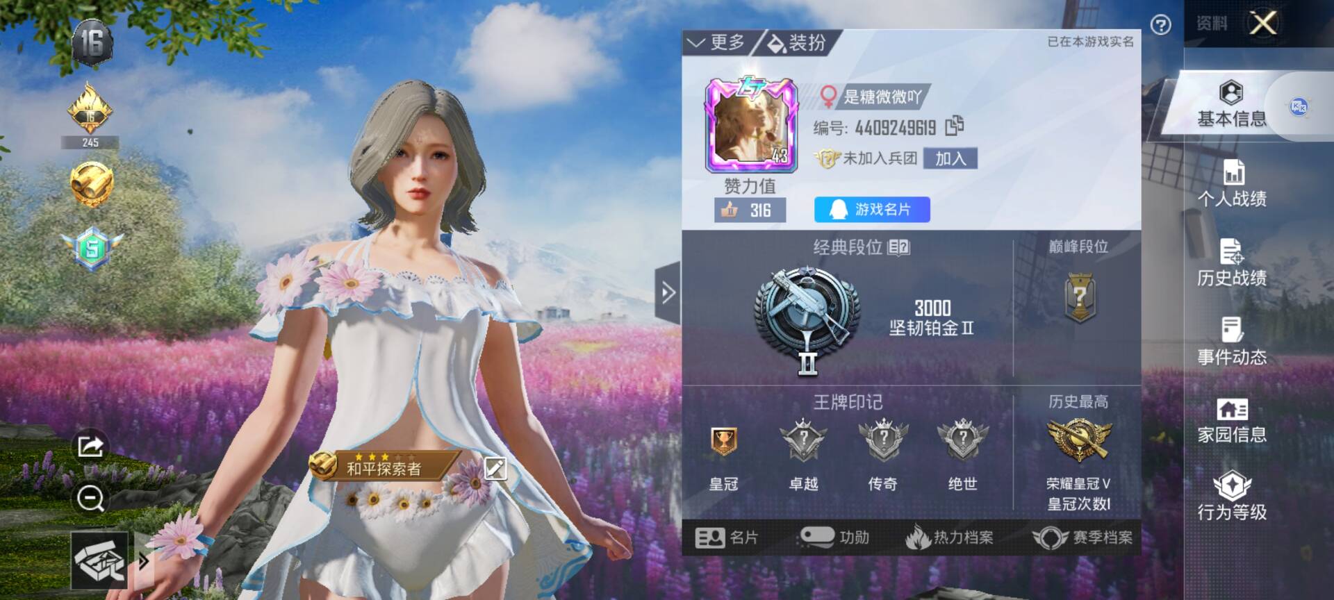 和平精英陪玩服务