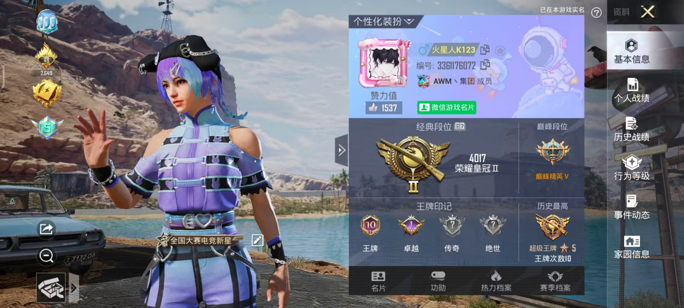 和平精英陪玩服务