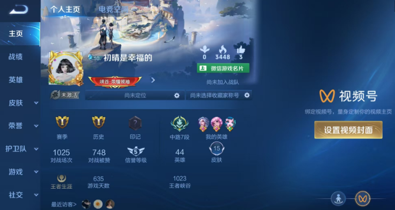 王者荣耀陪玩服务