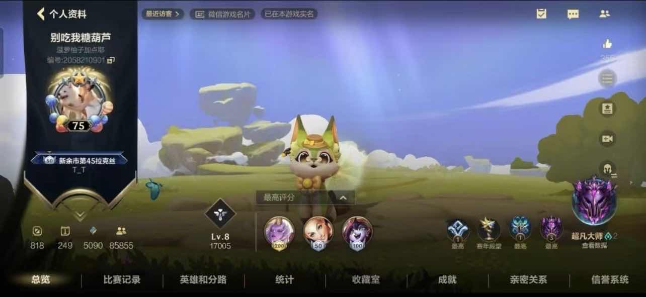 LOL手游陪玩服务