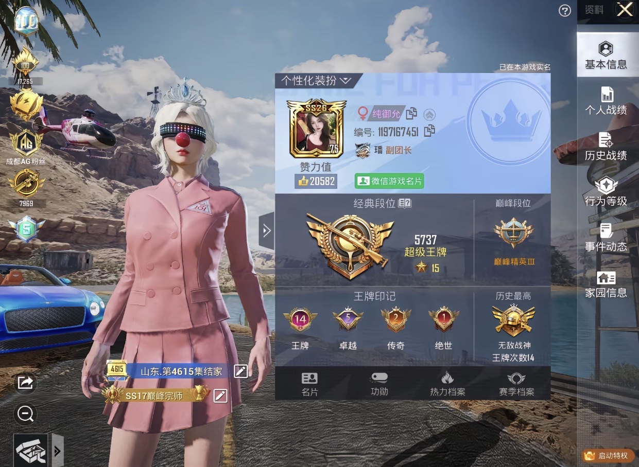 和平精英陪玩服务