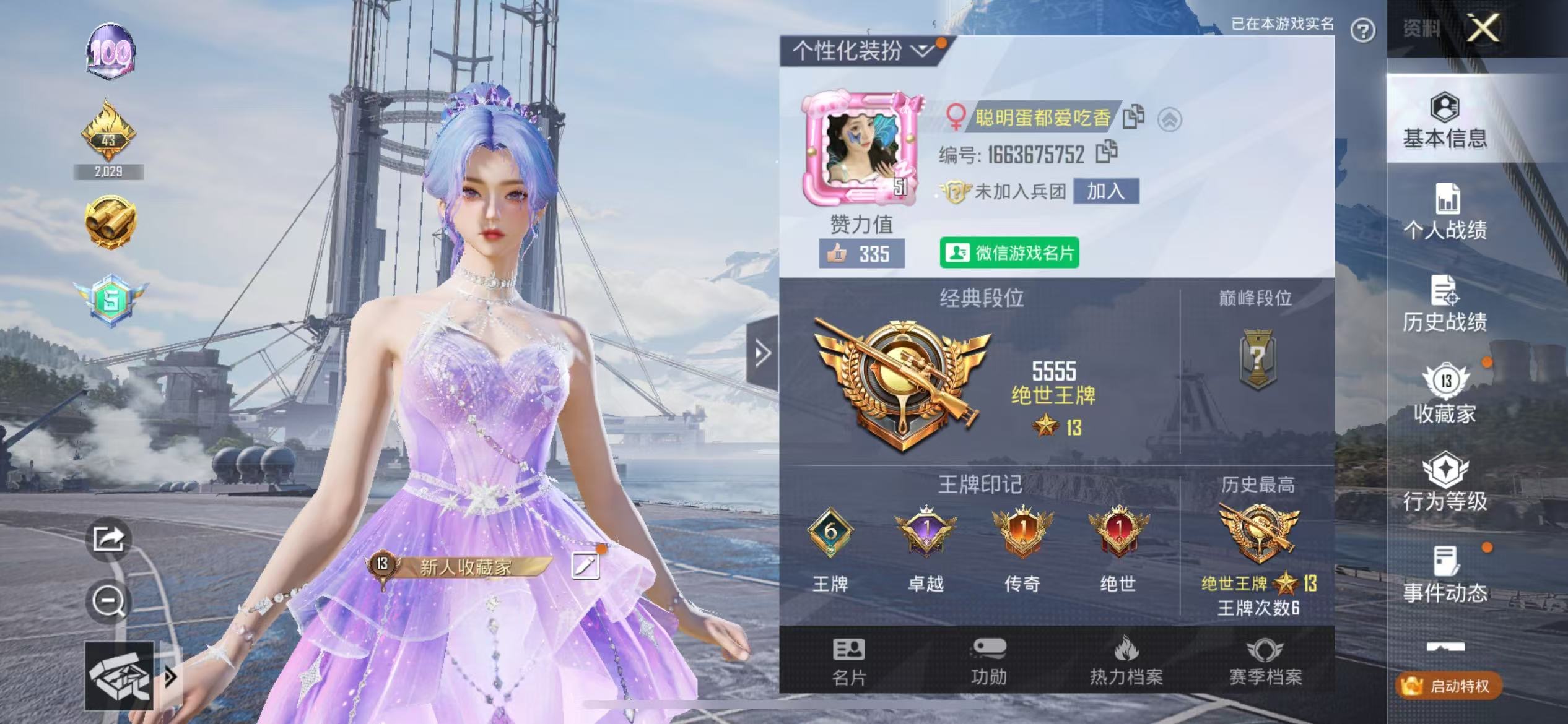 和平精英陪玩服务