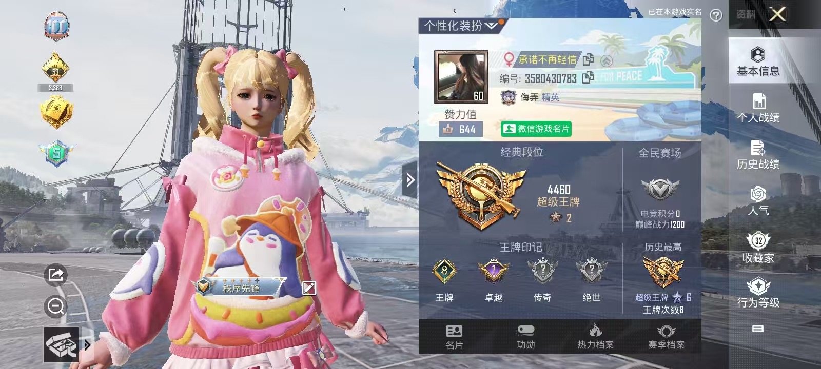 和平精英陪玩服务
