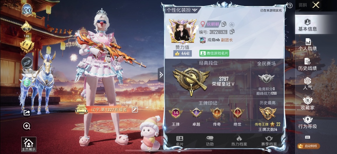 和平精英陪玩服务