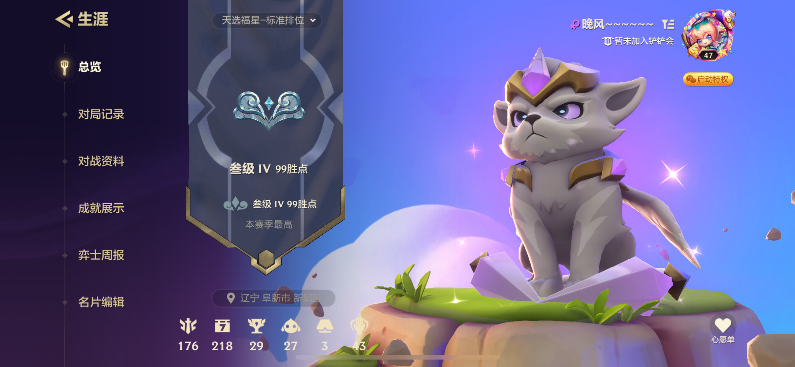 金铲铲之战陪玩服务