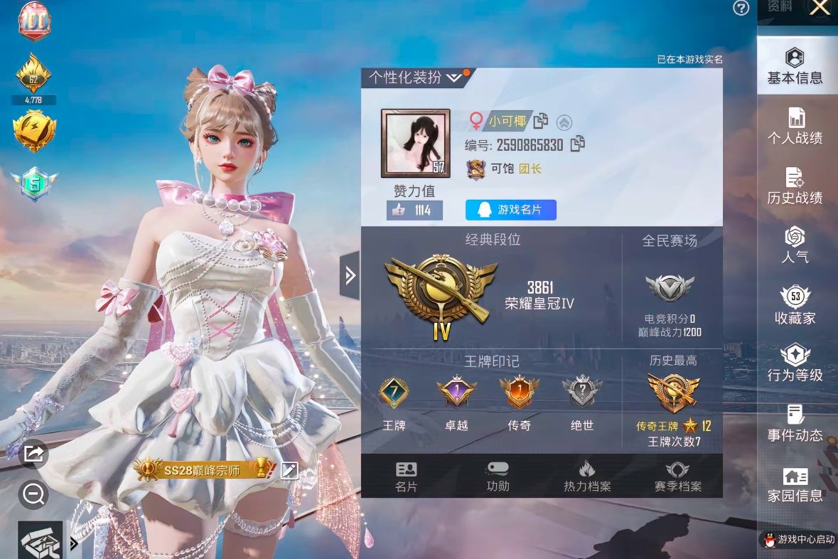 和平精英陪玩服务