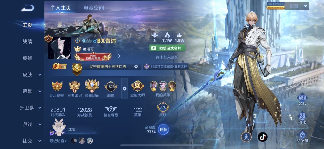 王者荣耀陪玩服务