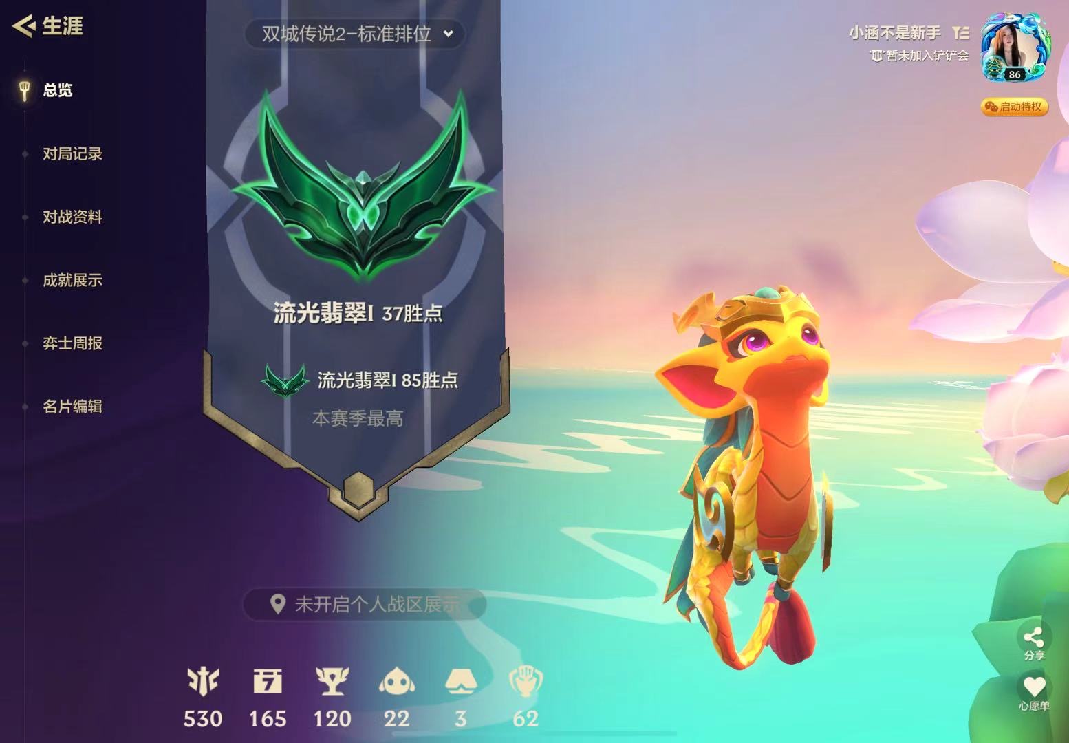 金铲铲之战陪玩服务