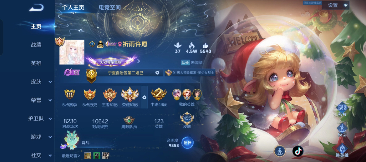 王者荣耀陪玩服务