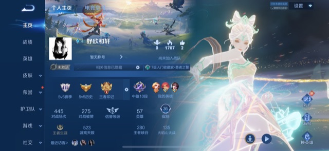 王者荣耀陪玩服务