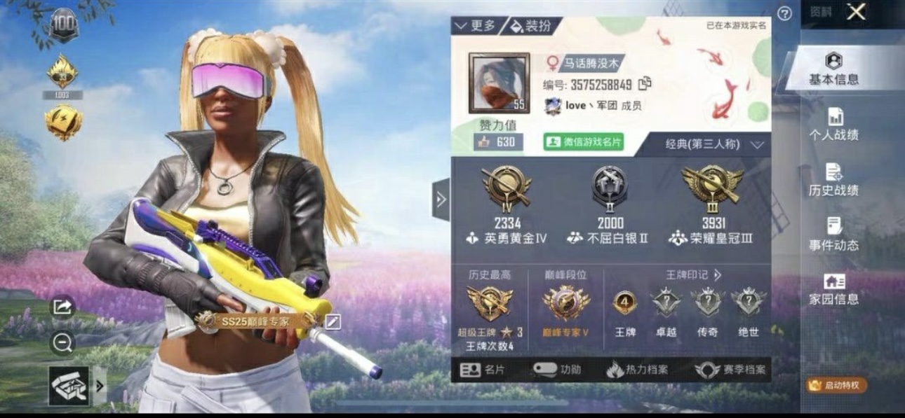 和平精英陪玩服务