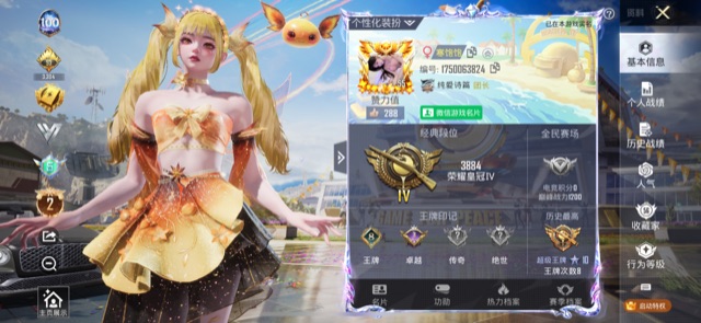 和平精英陪玩服务