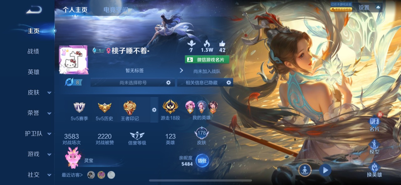 王者荣耀陪玩服务
