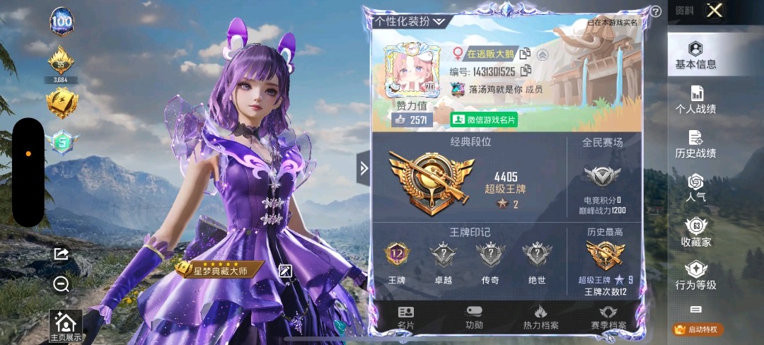 和平精英陪玩服务