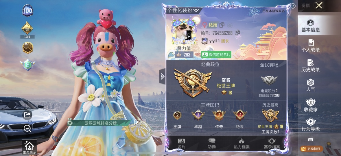 和平精英陪玩服务
