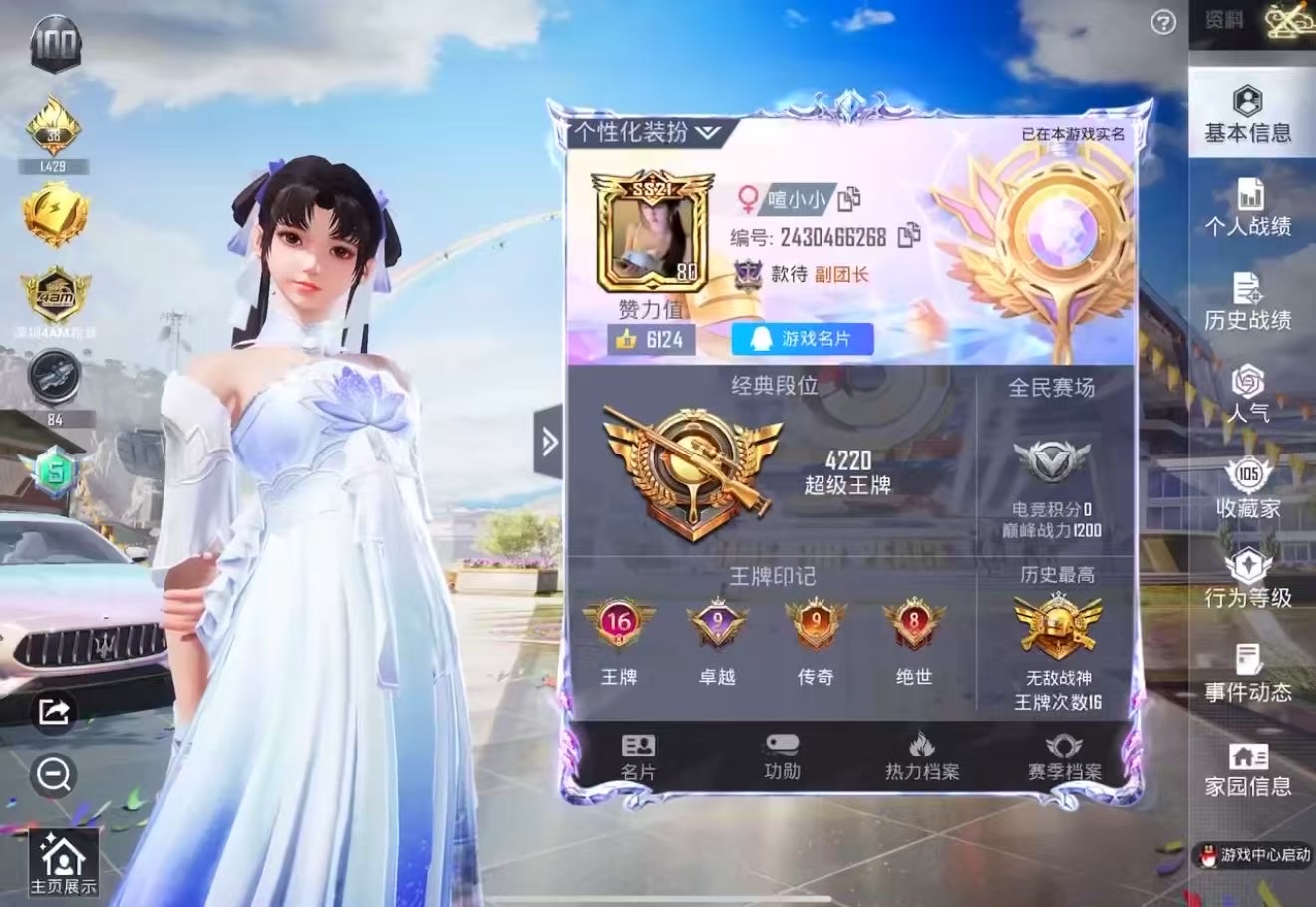 和平精英陪玩服务