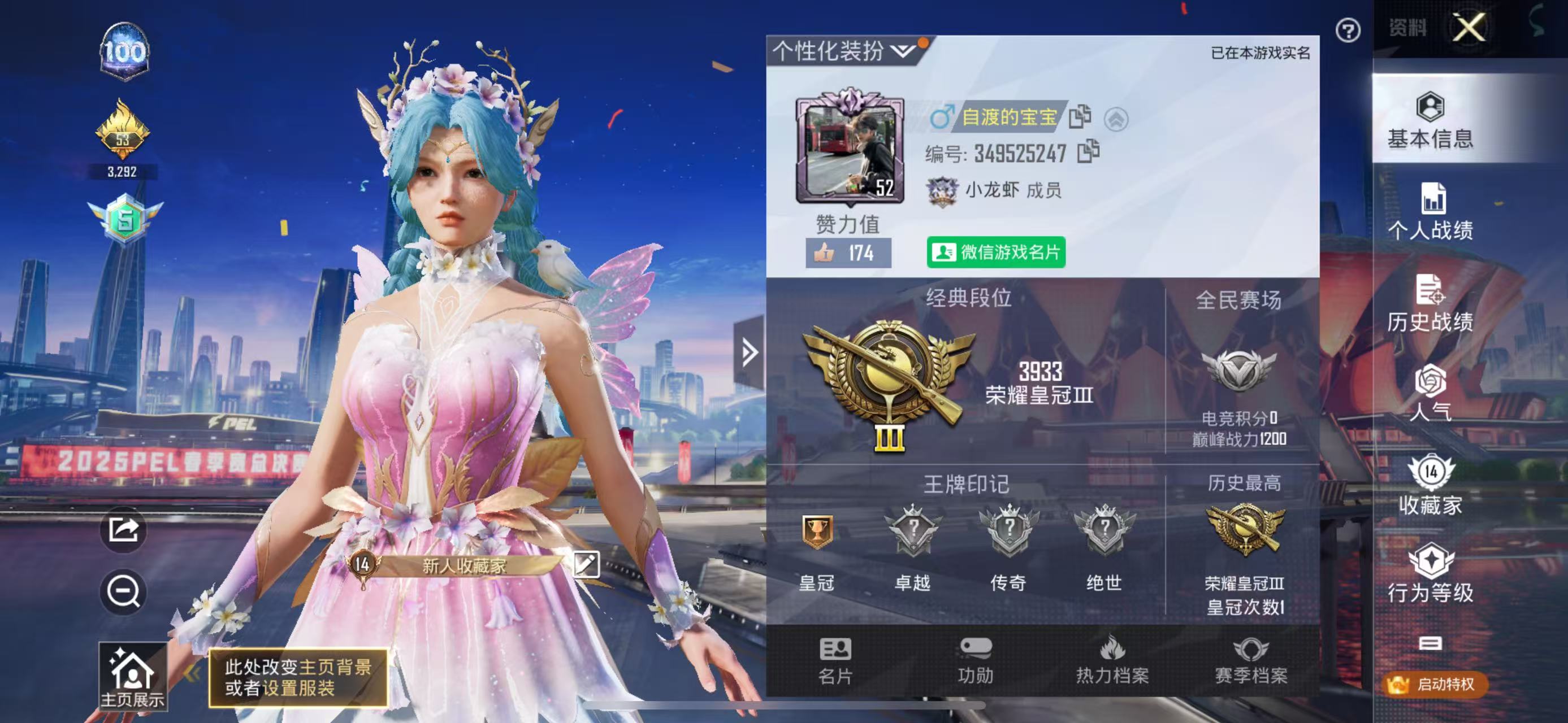 和平精英陪玩服务