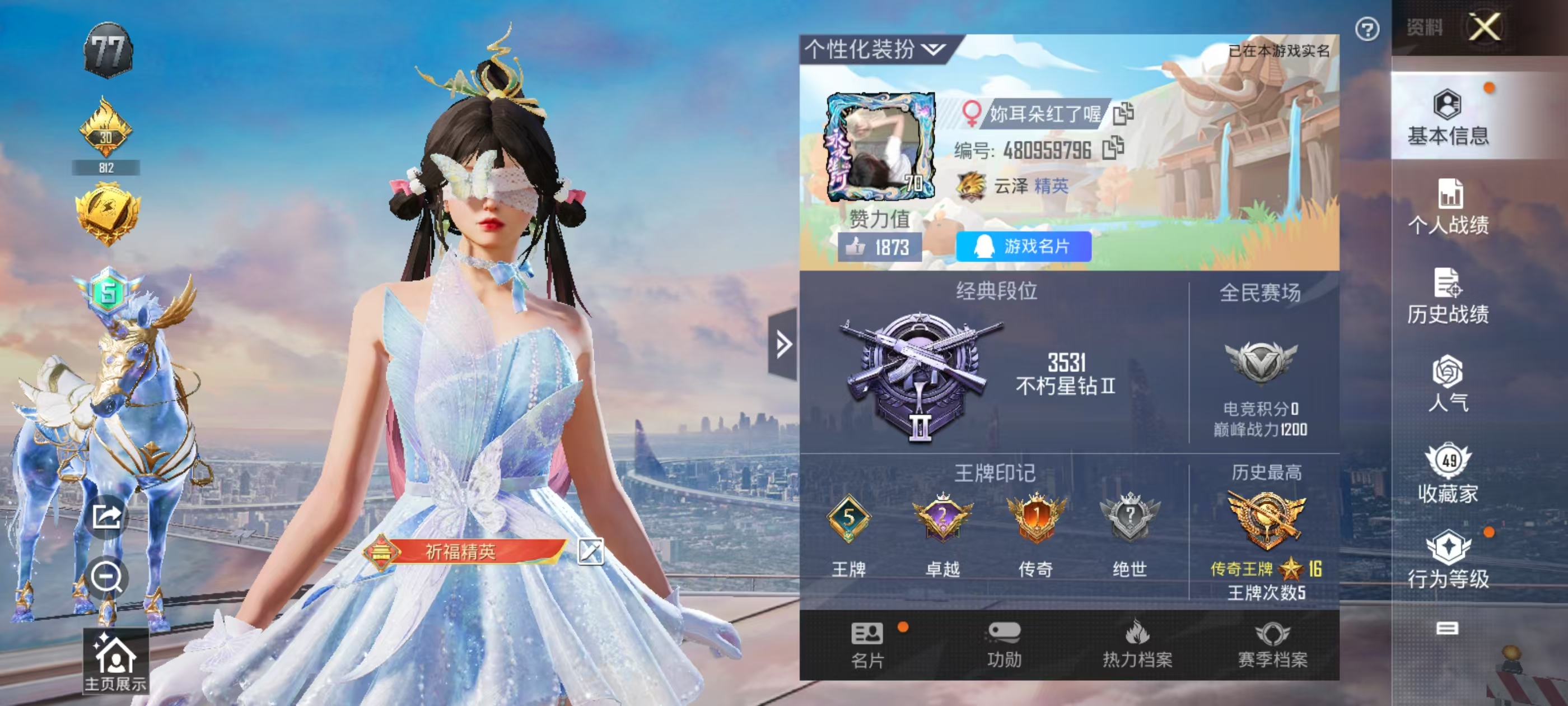 和平精英陪玩服务