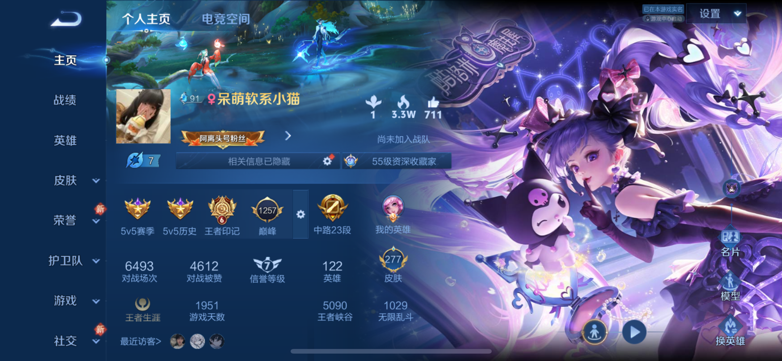 王者荣耀陪玩服务