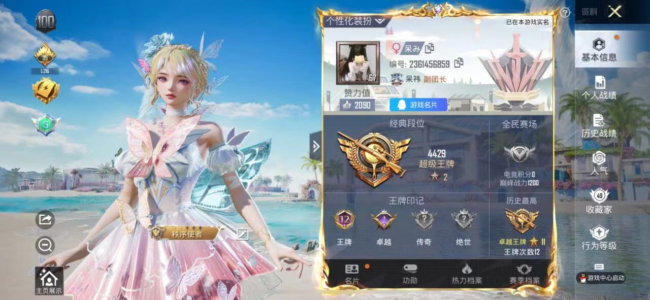 和平精英陪玩服务