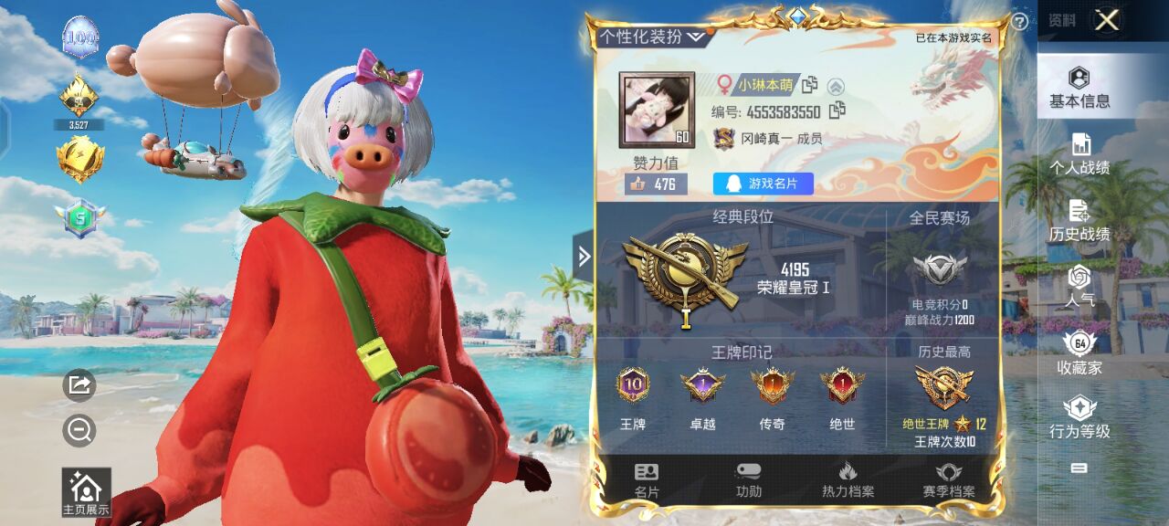 和平精英陪玩服务