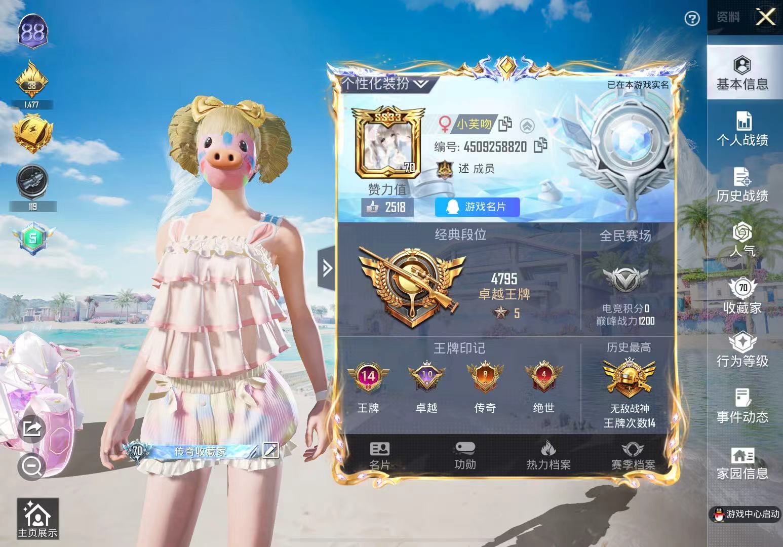 和平精英陪玩服务