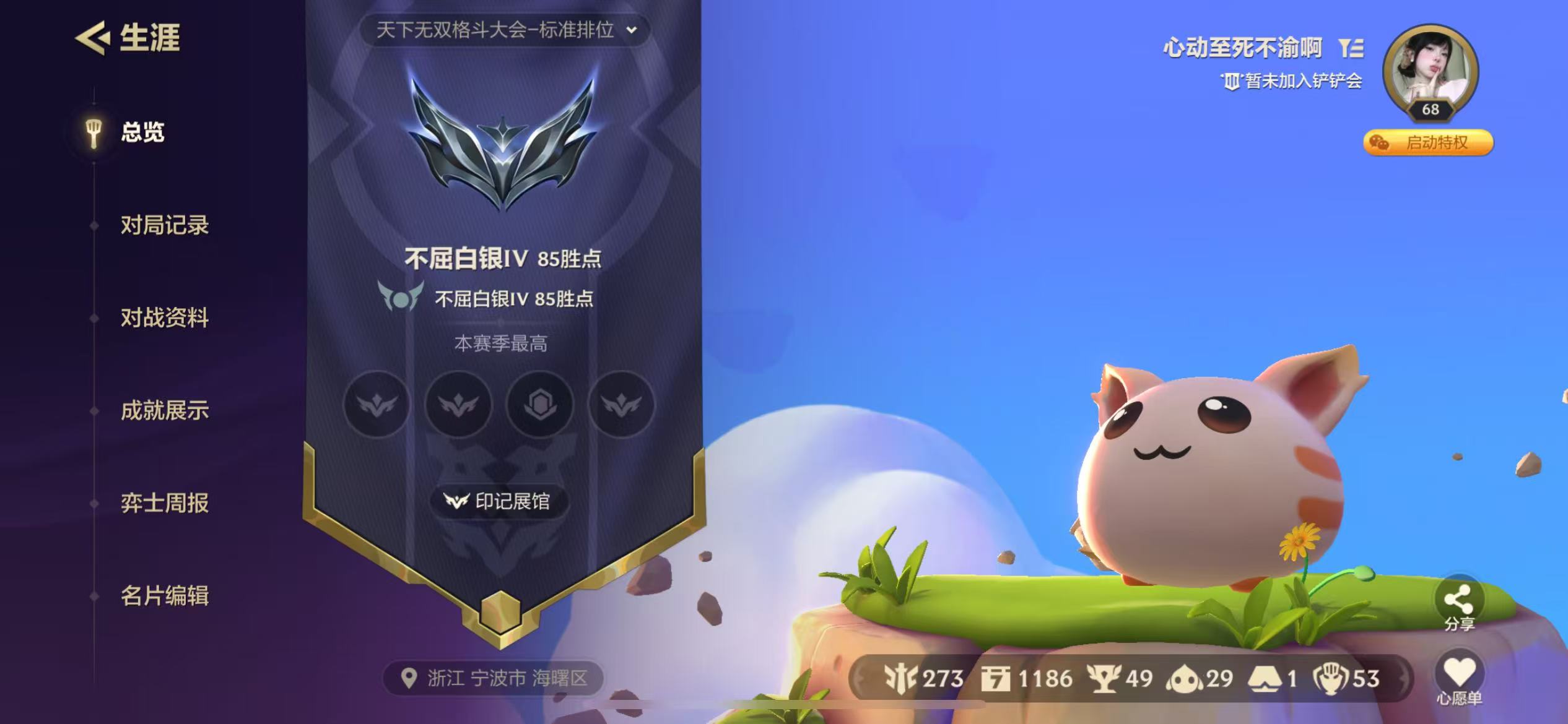 金铲铲之战陪玩服务