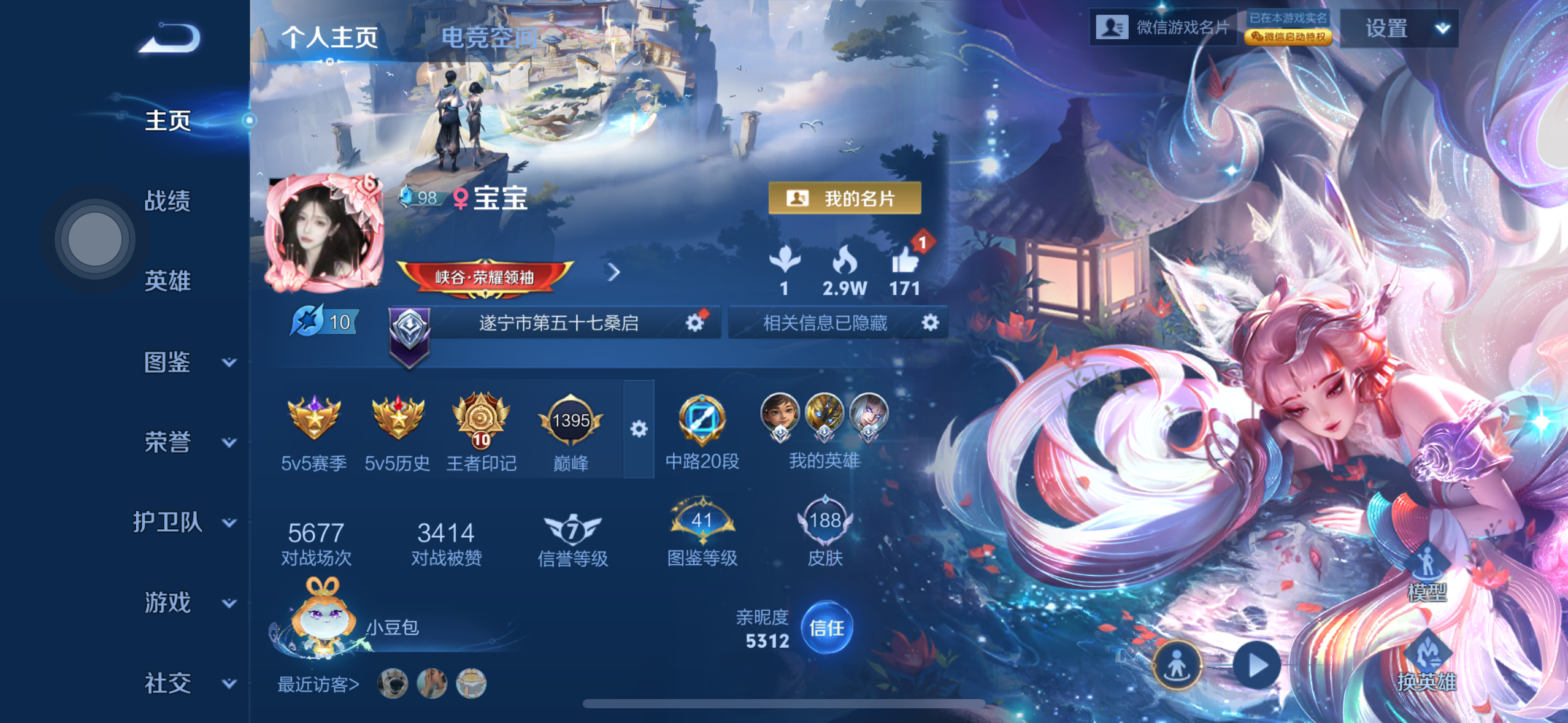 王者荣耀陪玩服务