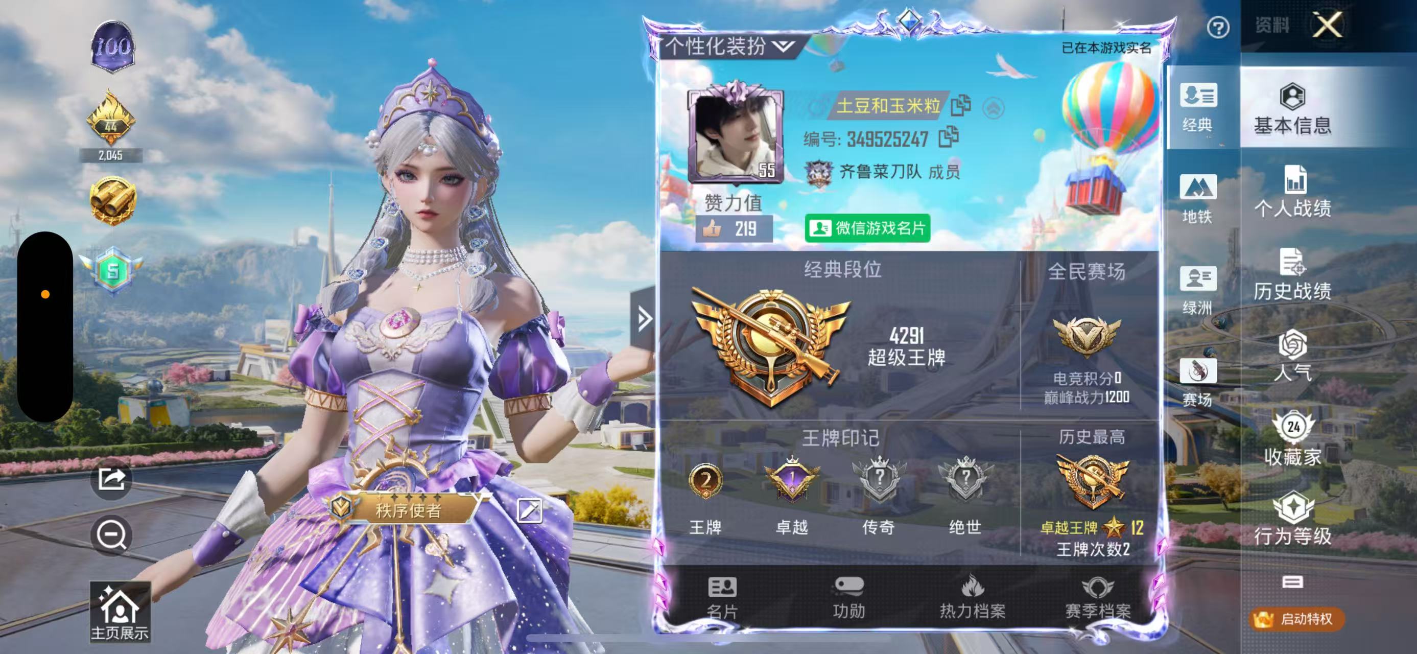 和平精英陪玩服务
