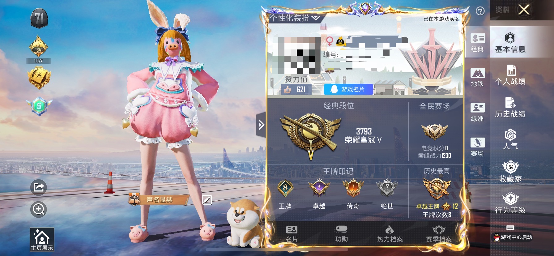 和平精英陪玩服务