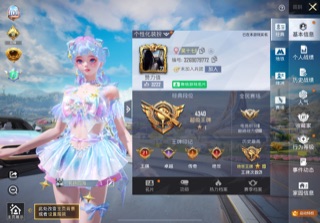 和平精英陪玩服务