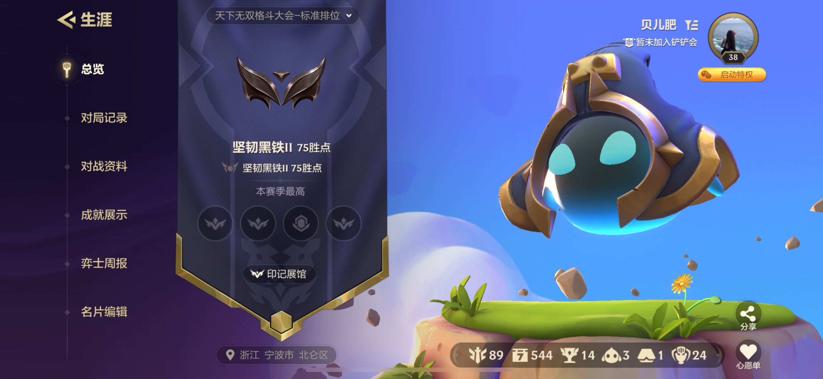 金铲铲之战陪玩服务