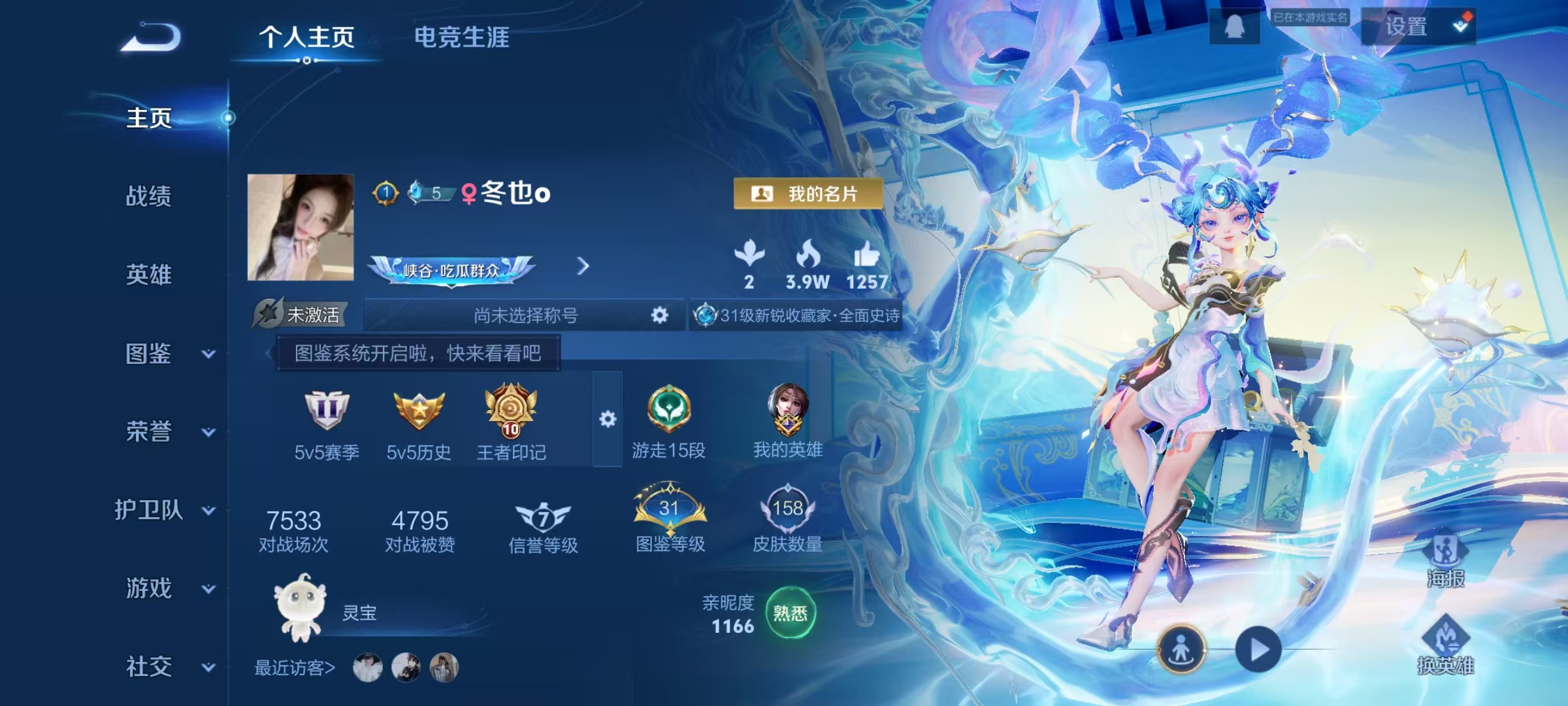 王者荣耀陪玩服务