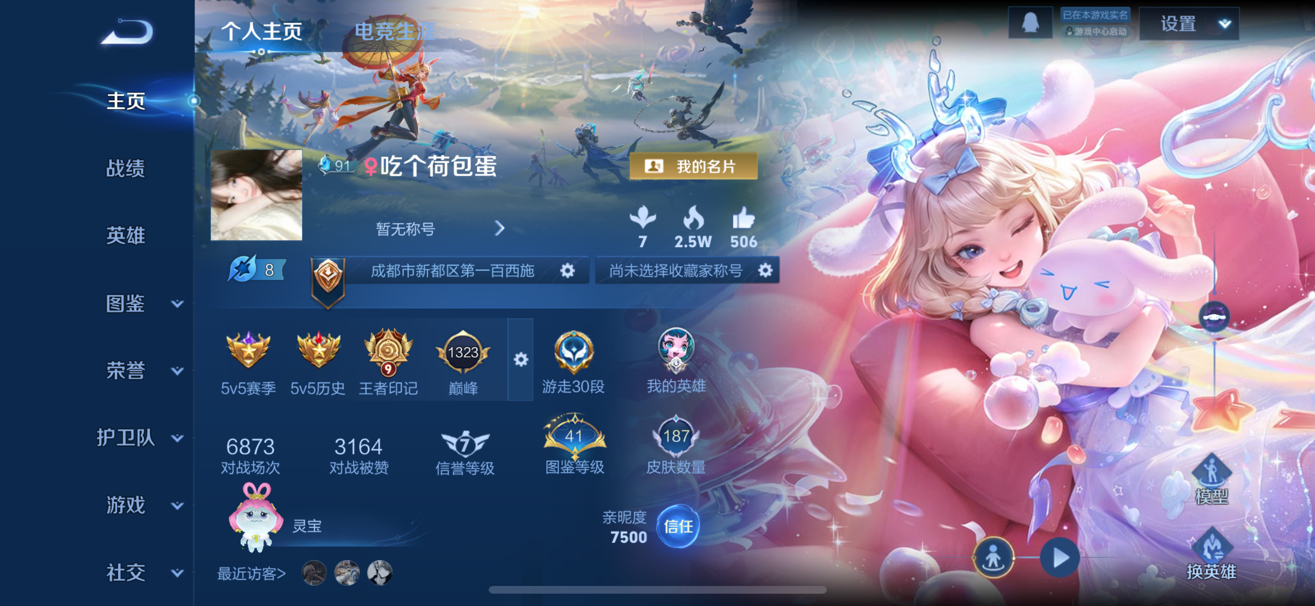 王者荣耀陪玩服务