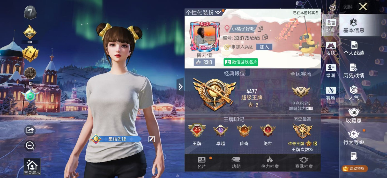 和平精英陪玩服务